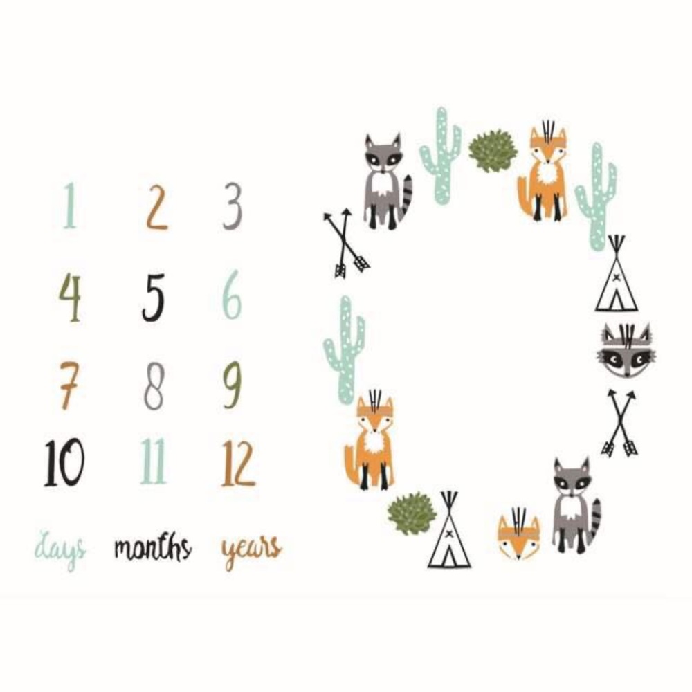 Milestone Blanket